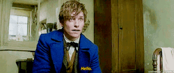 Newt Scamander Hello GIF
