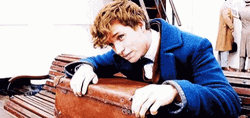Newt Scamander Holding Suitcase GIF