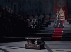 Newt Scamander Out The Suitcase Hello GIF