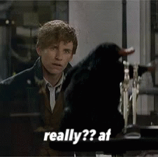 Newt Scamander Really Af GIF