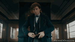 Newt Scamander Showing Magic Wand GIF