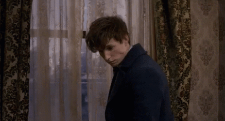 Newt Scamander Staring GIF