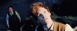 Newt Scamander Staring Upward GIF