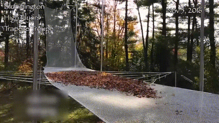 Newtons First Law Flying Trapeze Dive GIF