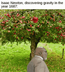 Newtons First Law Isaac Newton Discovering Gravity GIF