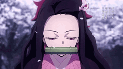 Nezuko Fighting Tanijiro Kamado Anime GIF