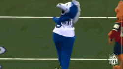 NFL Dancing Indianapolis Colts Mascot GIF