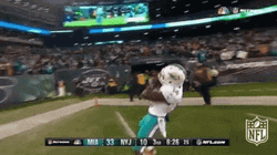 Nfl Dolphins Celebration GIF