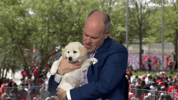 NFL Draft Commentator Rich Eisen Cuddling Puppy GIF