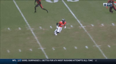 NFL Football Game GIF