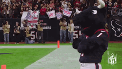 NFL Houston Texans Mascot Head Nod GIF