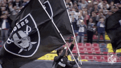 NFL Oakland Raiders Flag GIF