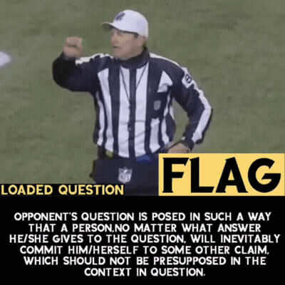 NFL Referee Standing With Flag Sign GIF