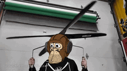 NFT Monkey Helicopter Meme GIF