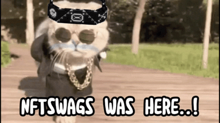 Nft Swags Cat GIF