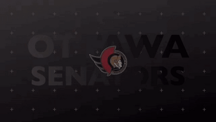 NHL Ottawa Senators Goal GIF