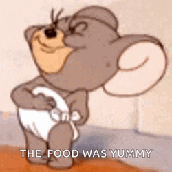 Nibbles The Food Was Yummy Delicious GIF