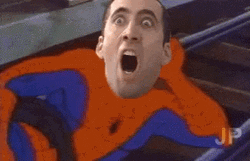 Nic Cage Spider Man Meme GIF