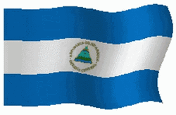 Nicaraguan Flag Pixel Cartoon GIF