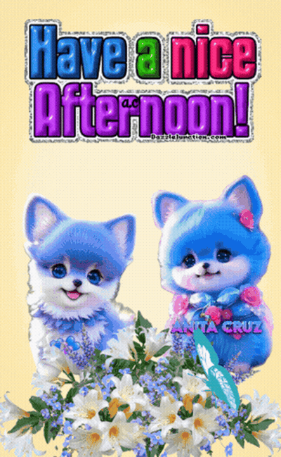 Nice Afternoon Message With Two Cats GIF