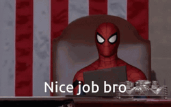 Nice Job Bro Nice Work Spider Man GIF