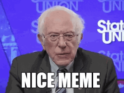 Nice Meme Funny Meme Bernie GIF