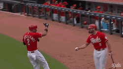 Nick Castellanos Fist Bump His Teammate GIF