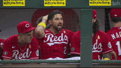 Nick Castellanos Talking Happily With His Teammate GIF