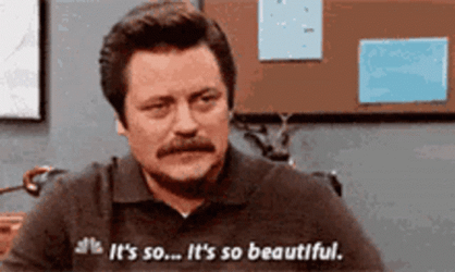 Nick Offerman As Ron Swanson It's Beautiful GIF