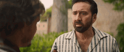 Nicolas Cage Searches On Pedro Pascal GIF