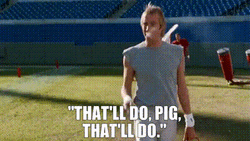 Nigel Thatll Do Pig GIF