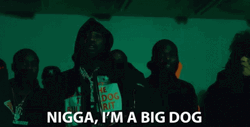 Nigga I'm A Big Dawg GIF