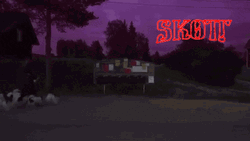 Night Dog Walking GIF