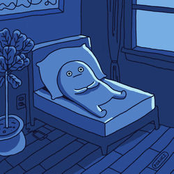 Night Goodnight GIF