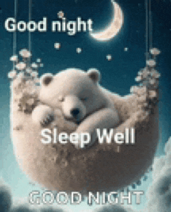 Night Goodnight Meme GIF