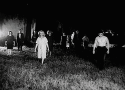 Night Of The Living Dead Terror GIF