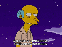 Night Sky Mr. Burns The Simpsons