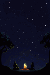 Night Sky Shooting Star Camp Fire GIF