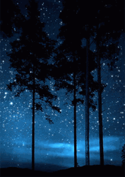 Night Sky Stars Aesthetic Trees