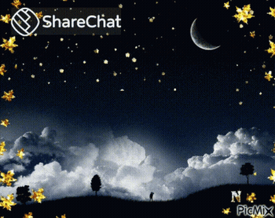 Night Sky With Crescent Moon And Stars GIF