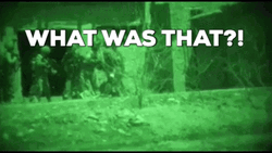 Night Vision What Was That GIF