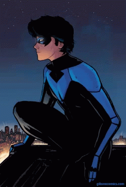 Nightwing Dick Grayson Watching Over Horizon GIF