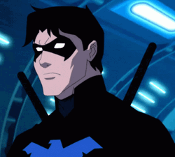 Nightwing Domino Mask Dick Grayson GIF
