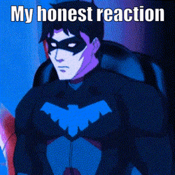 Nightwing Nonchalant Honest Reaction GIF