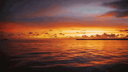 Nike Tuned Air Shoe Sunset Color GIF