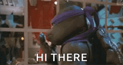 Ninja Turtle Hi There From Tmnt Donatello GIF