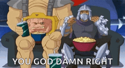 Ninja Turtle Tmnt You God Damn Right GIF