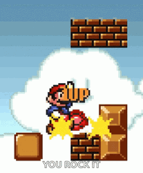 Nintendo Super Mario Bros. Level Up