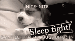 Nite Nite Cute Sleep Puppy Dog Yawning GIF