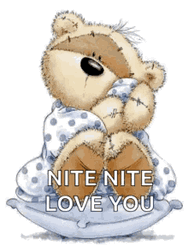 Nite Nite I Love You Teddy Bear Hug GIF